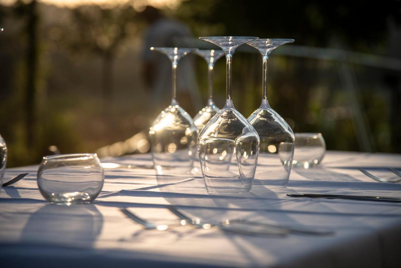 Recchi Franceschini Bike Hotel Last - Minute - Availability Montalto delle Marche ภายนอก รูปภาพ