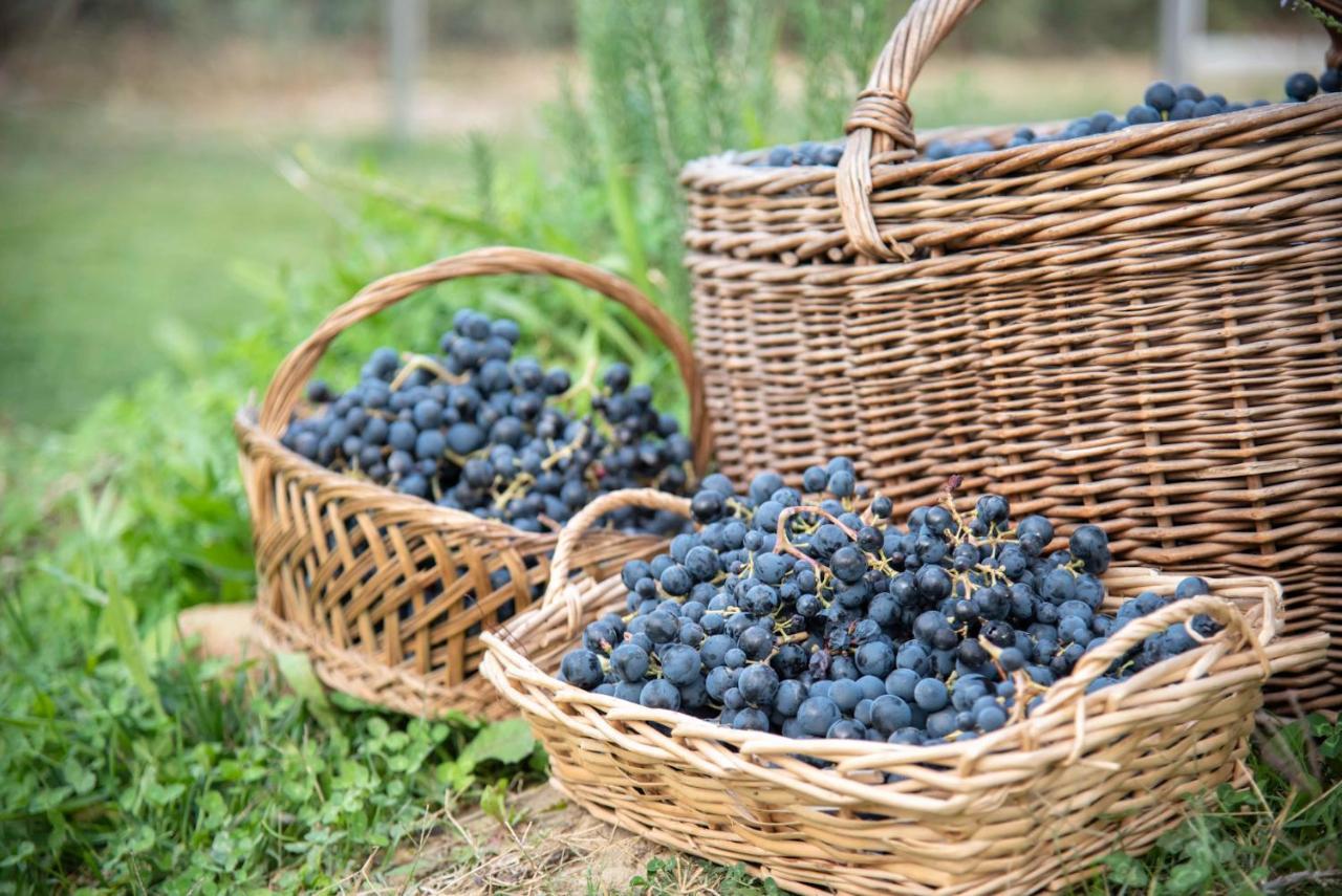 Recchi Franceschini Bike Hotel Last - Minute - Availability Montalto delle Marche ภายนอก รูปภาพ