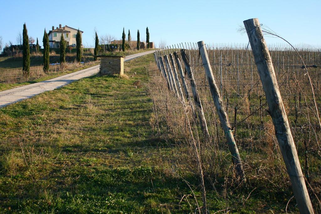 Recchi Franceschini Bike Hotel Last - Minute - Availability Montalto delle Marche ภายนอก รูปภาพ