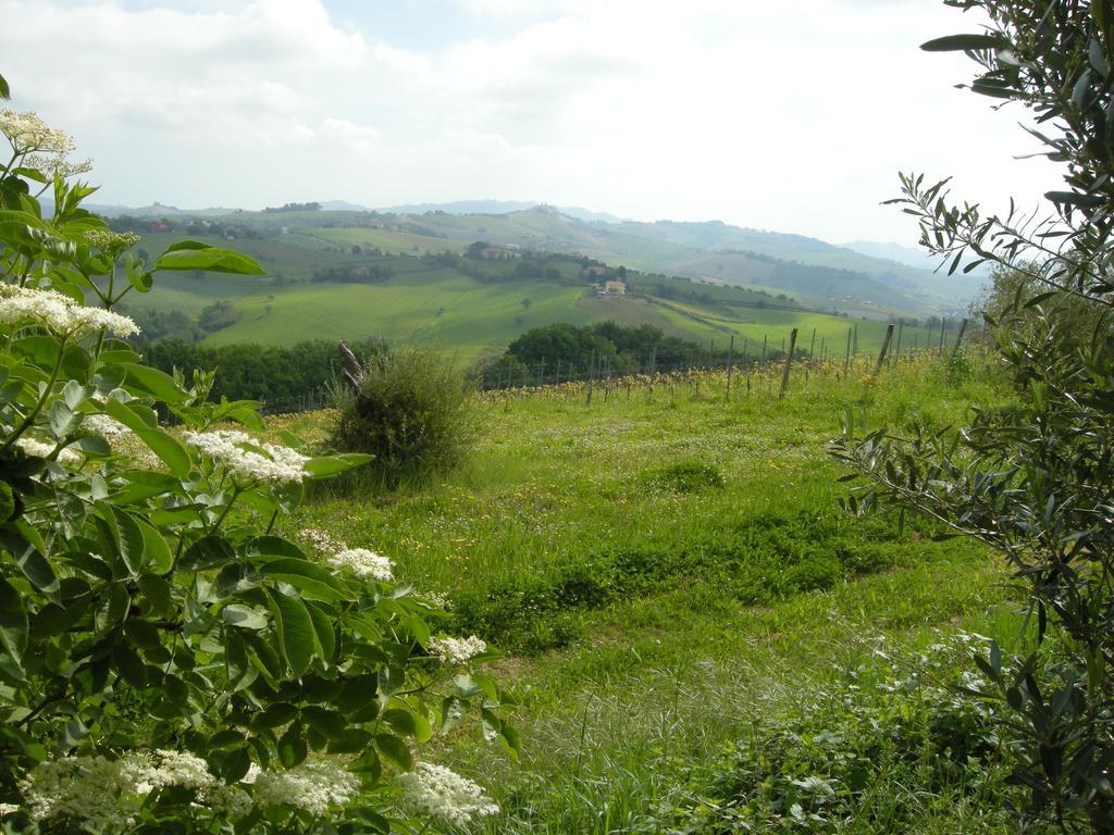Recchi Franceschini Bike Hotel Last - Minute - Availability Montalto delle Marche ภายนอก รูปภาพ